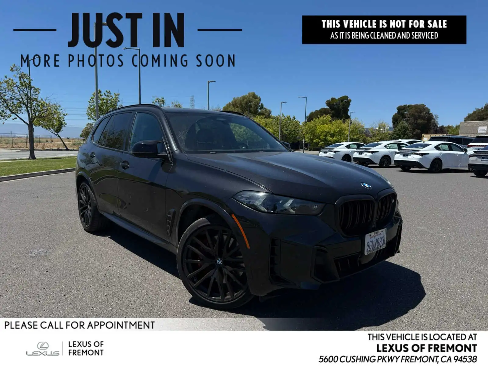 2024 BMW X5 M60i's photo