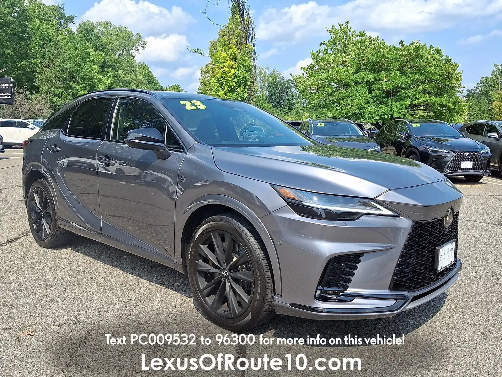2023 Lexus RX 350h 500h F SPORT AWD's photo