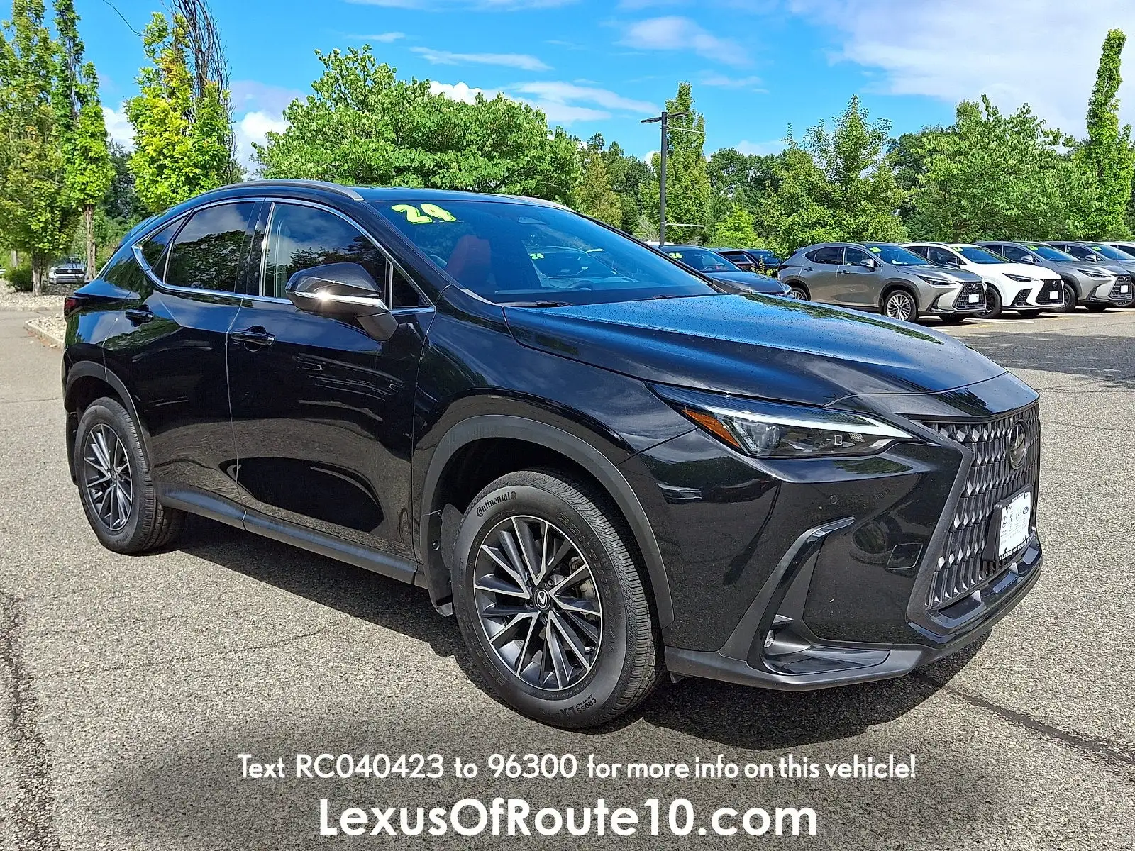 2024 Lexus NX 350 350 Premium AWD's photo