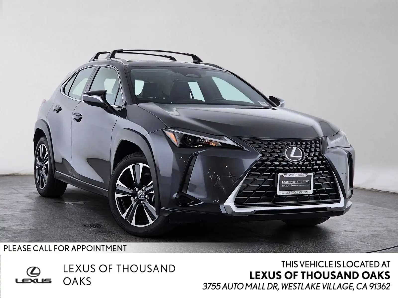 2025 Lexus UX 300h 300h's photo