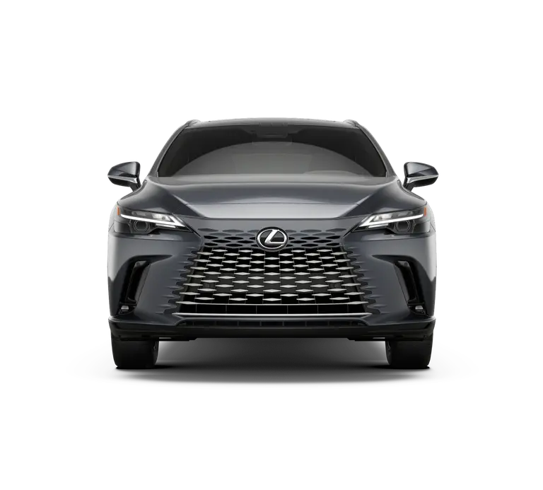 2026 Lexus RX 350 undefined photo 5