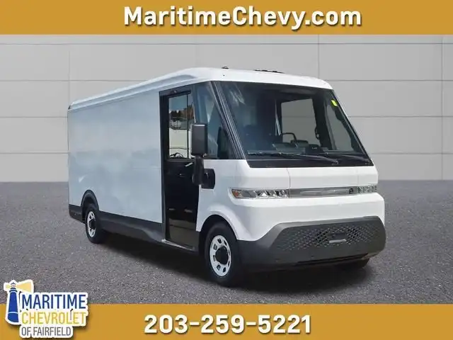 2024 Chevrolet BrightDrop BrightDrop Zevo 600 AWD's photo