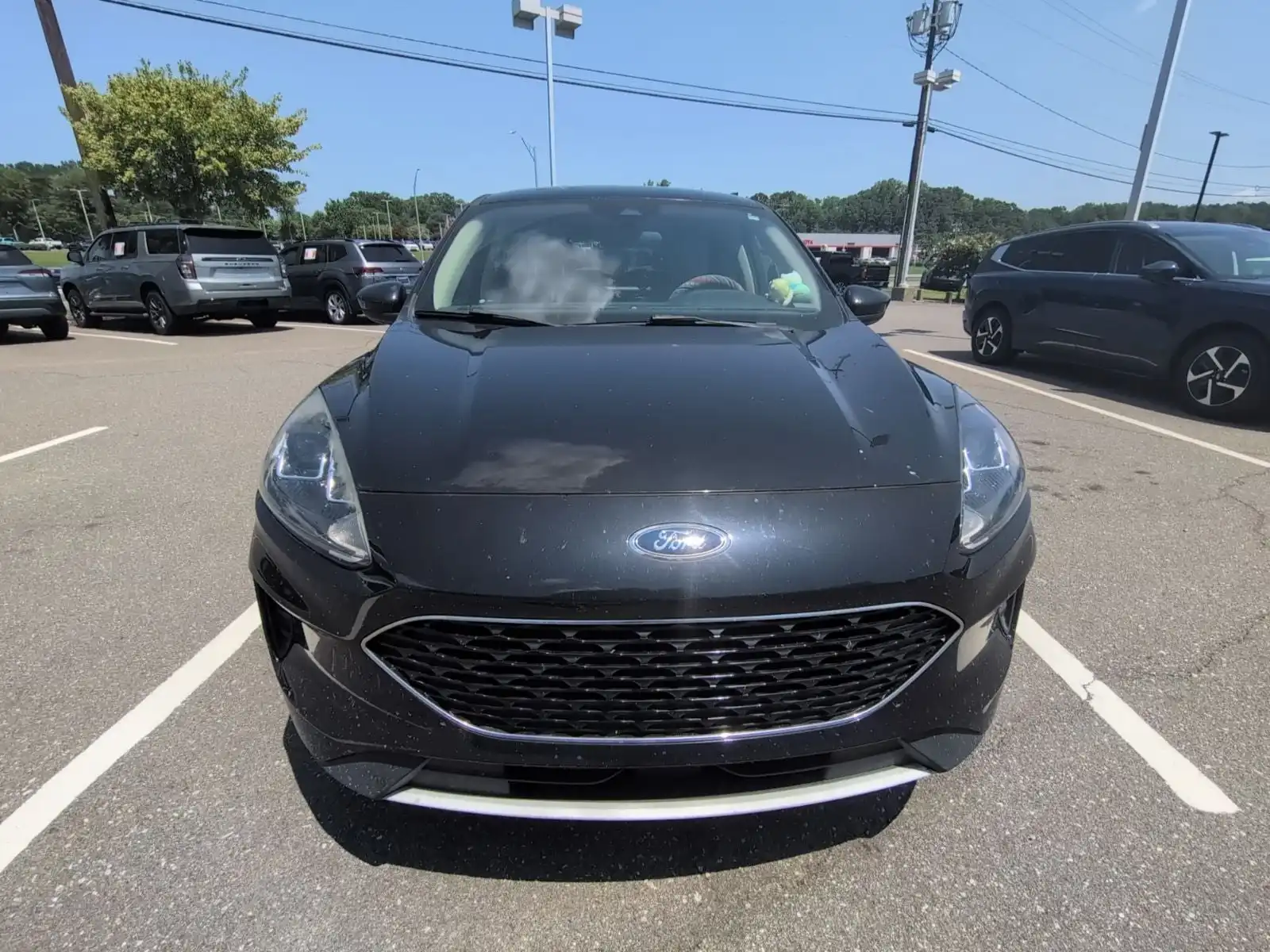 2020 Ford Escape SE FWD's photo