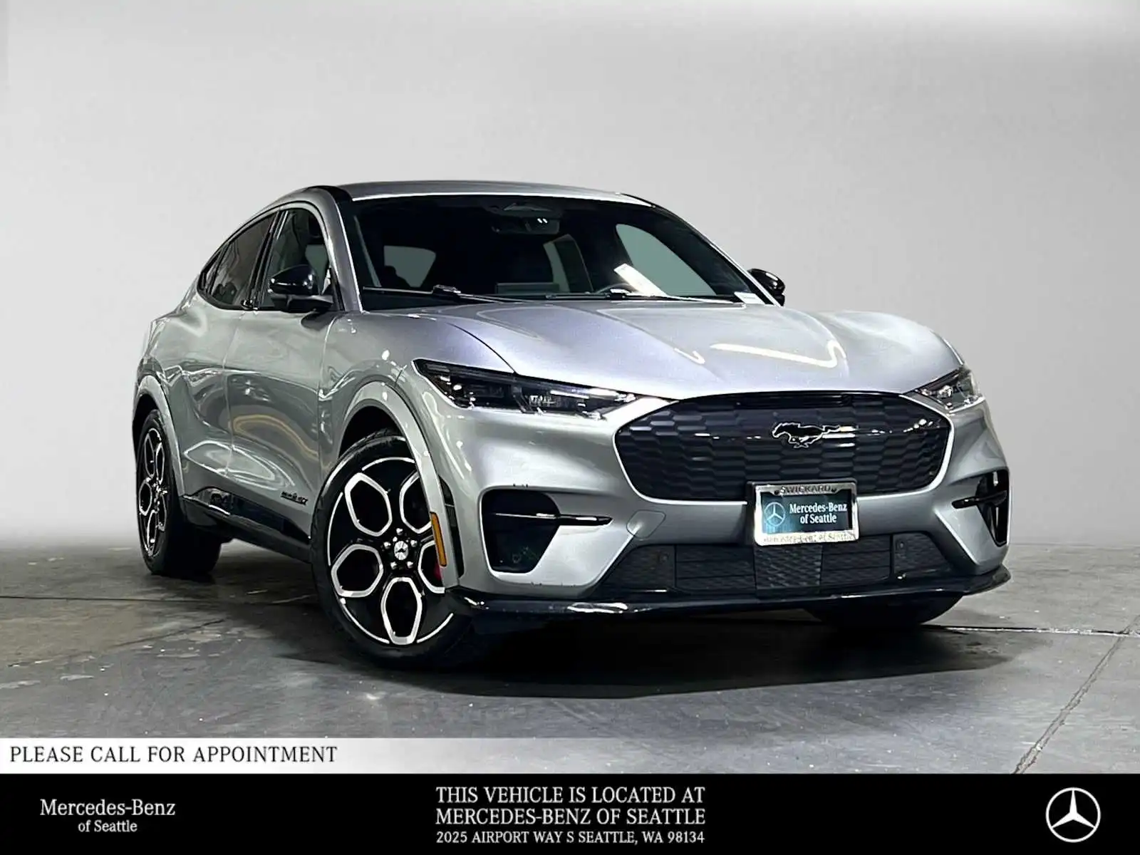 2021 Ford Mustang-Mach-e GT's photo