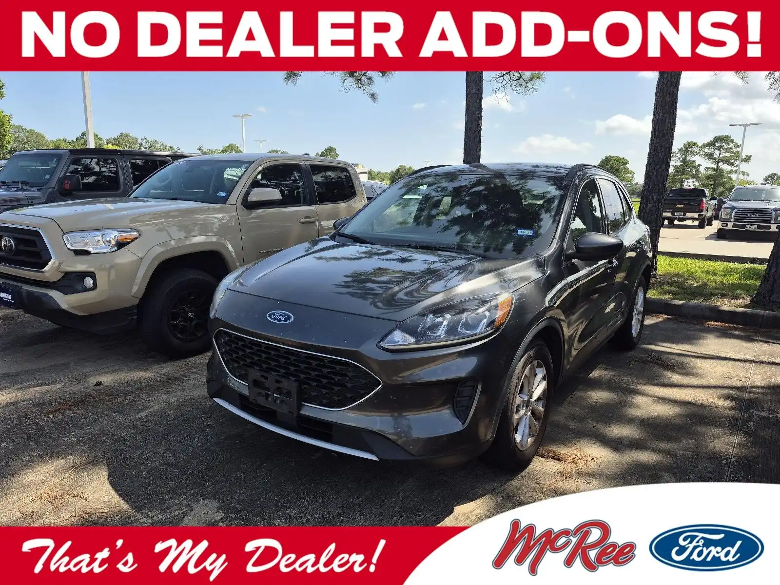 2020 Ford Escape SE FWD's photo