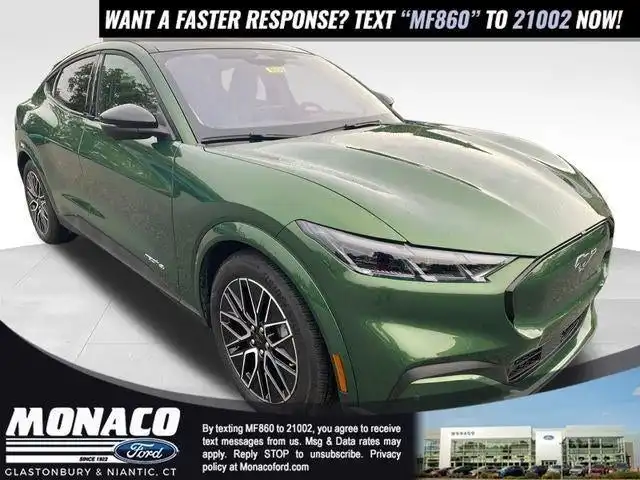 2025 Ford Mustang-Mach-e Premium's photo