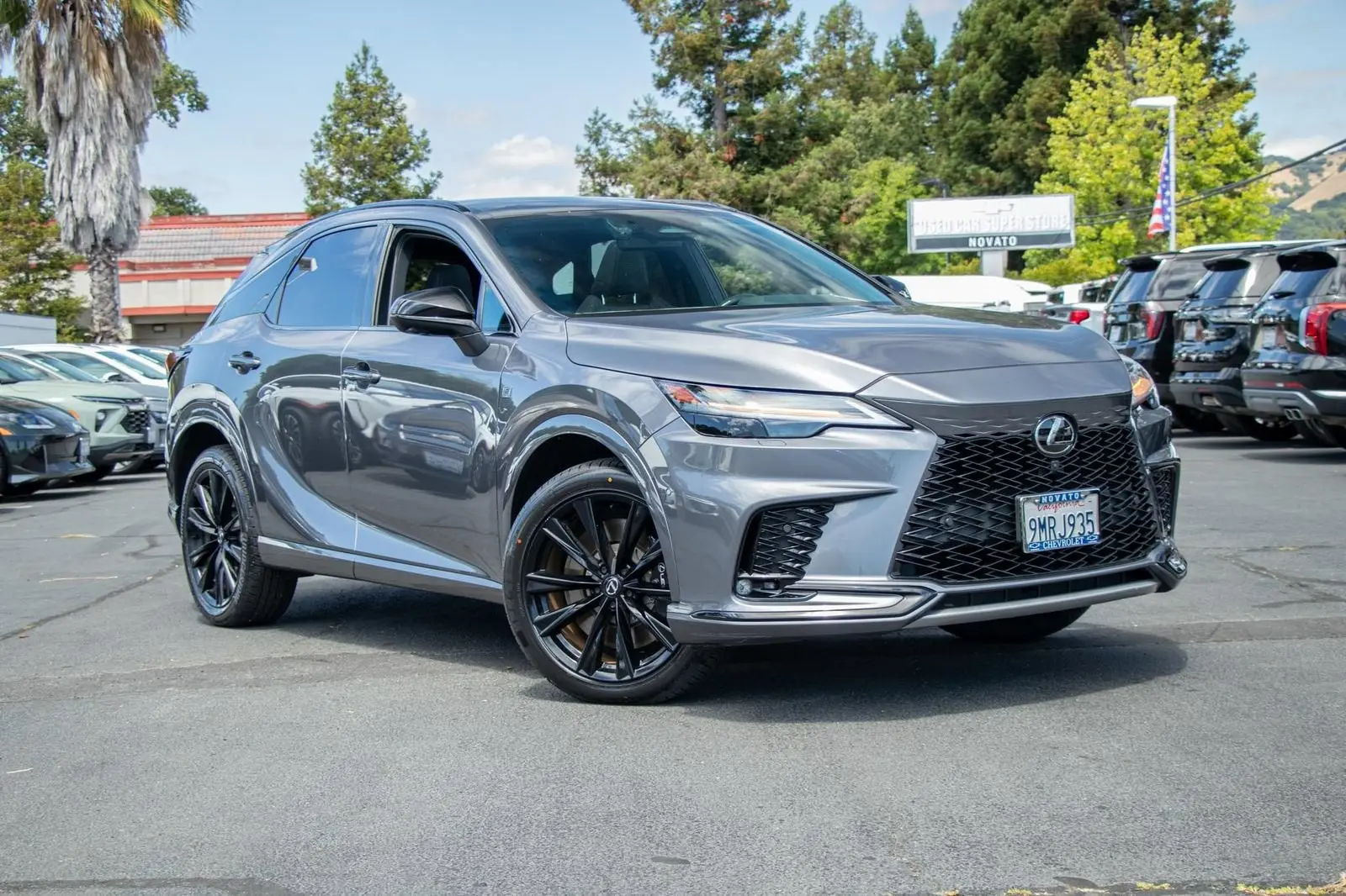2023 Lexus RX 350h 500h F Sport AWD photo 3
