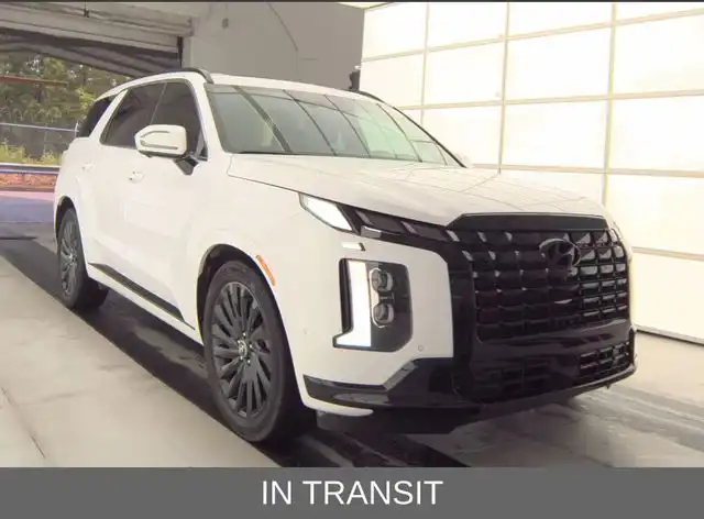 2025 Hyundai Palisade Calligraphy Night Edition AWD's photo
