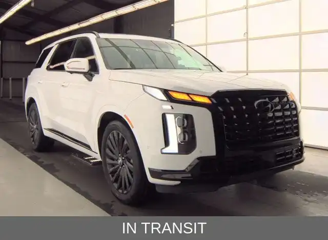 2025 Hyundai Palisade Calligraphy Night Edition AWD's photo
