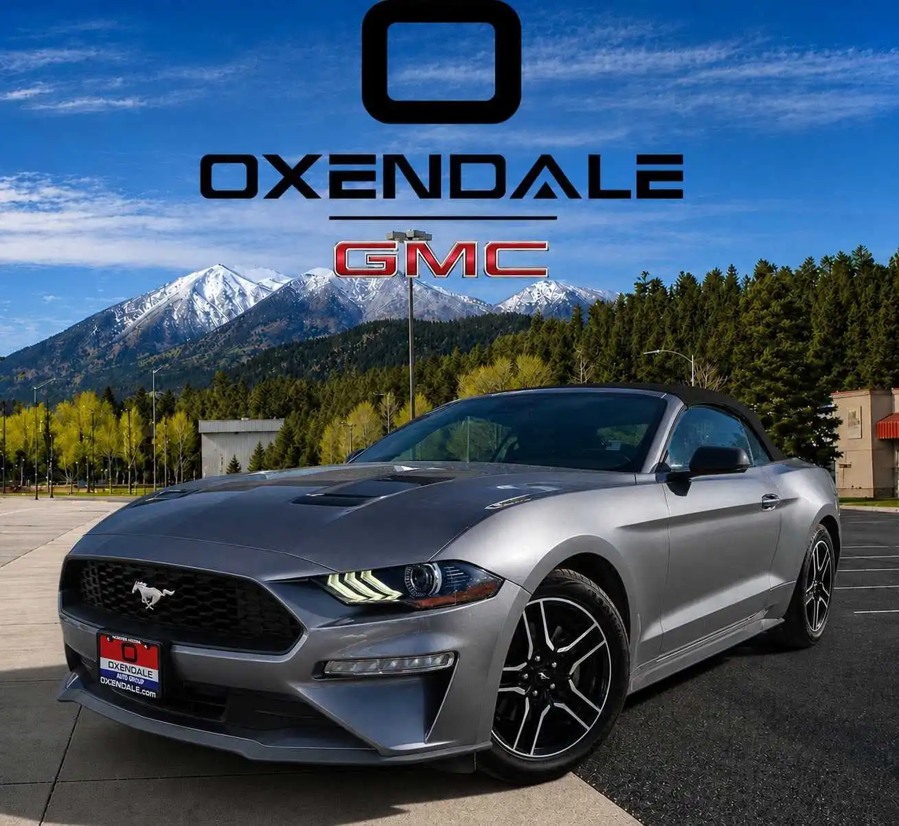 2023 Ford Mustang EcoBoost Premium Convertible's photo