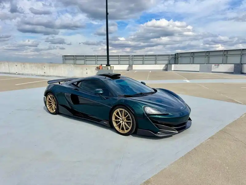 2019 McLaren 600LT Coupe's photo