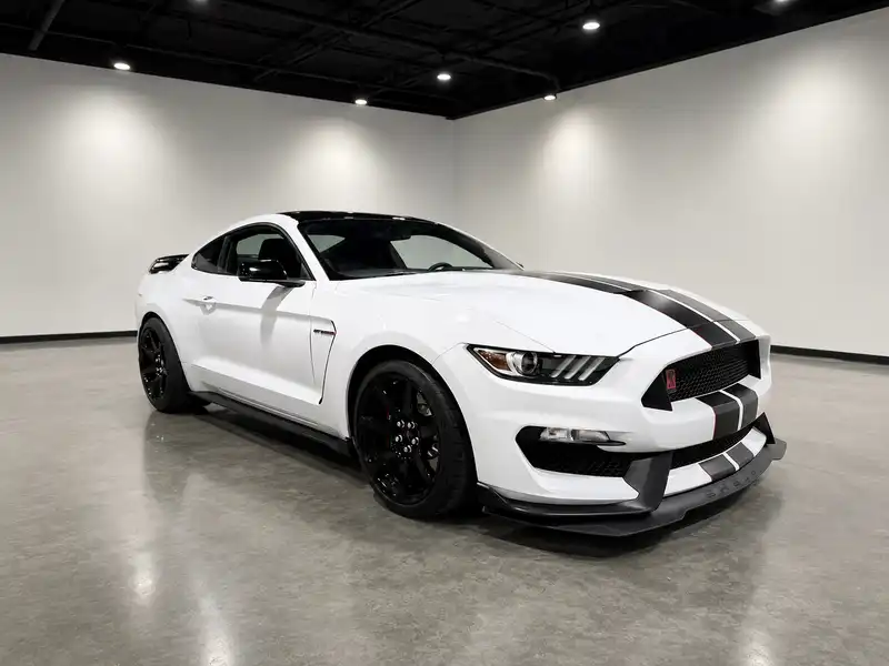 2017 Ford Mustang Shelby GT350R's photo