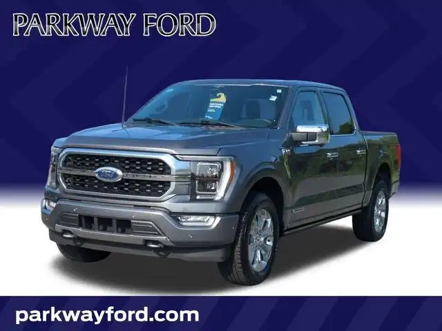 2023 Ford F-150 Platinum 4x4 SuperCrew 5-1/2 Box's photo