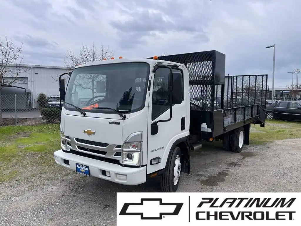 2025 Chevrolet Low Cab Forward 4500 Gas 176" WB Regular Cab's photo