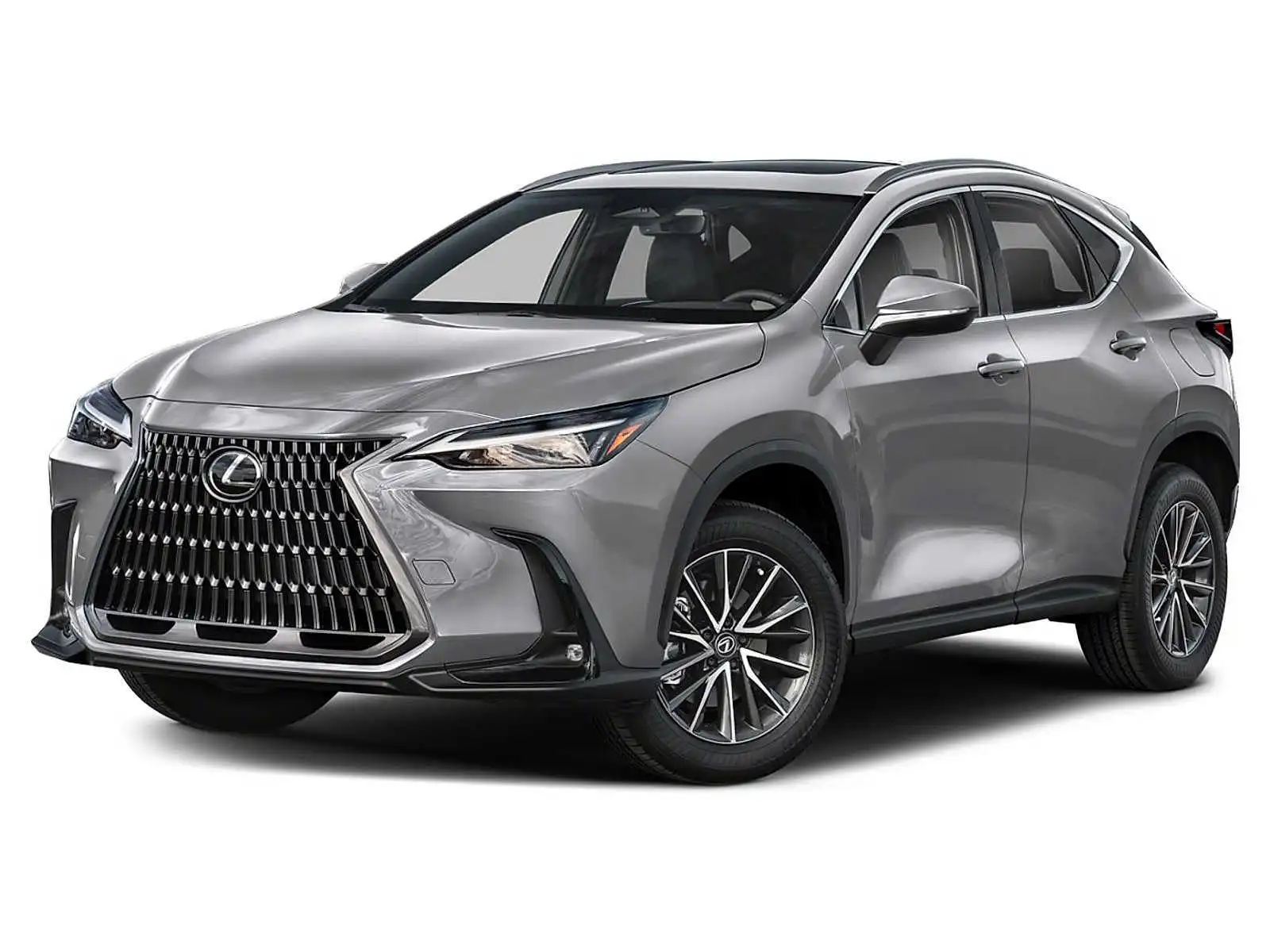 2024 Lexus NX 350 250 AWD's photo