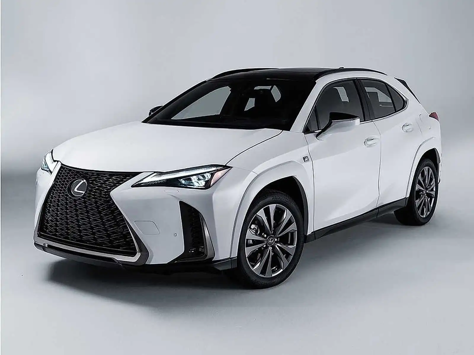 2024 Lexus UX 300h 250h F Sport Design AWD's photo