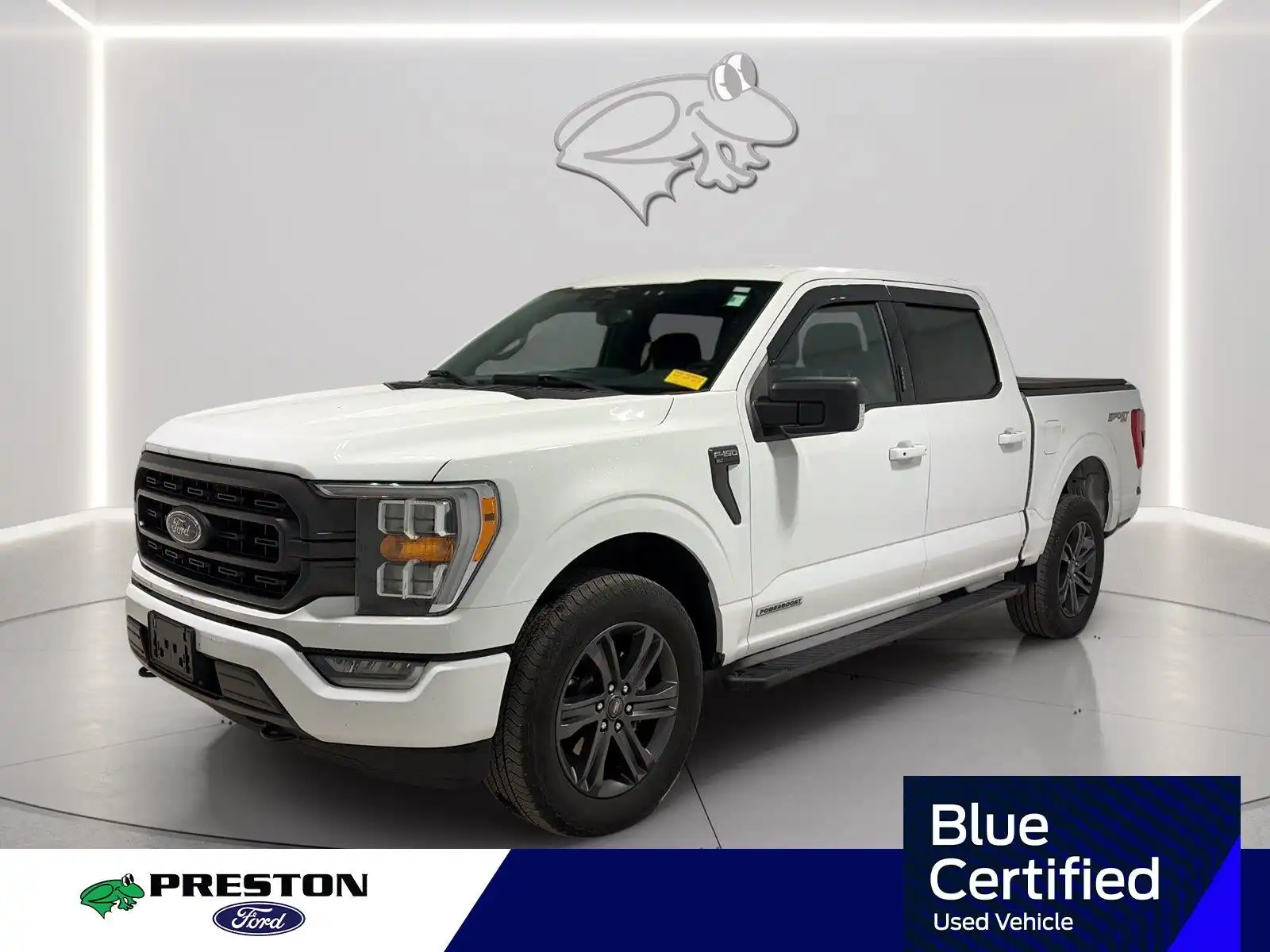 2023 Ford F-150 XLT 4WD SuperCrew 5-1/2' Box's photo
