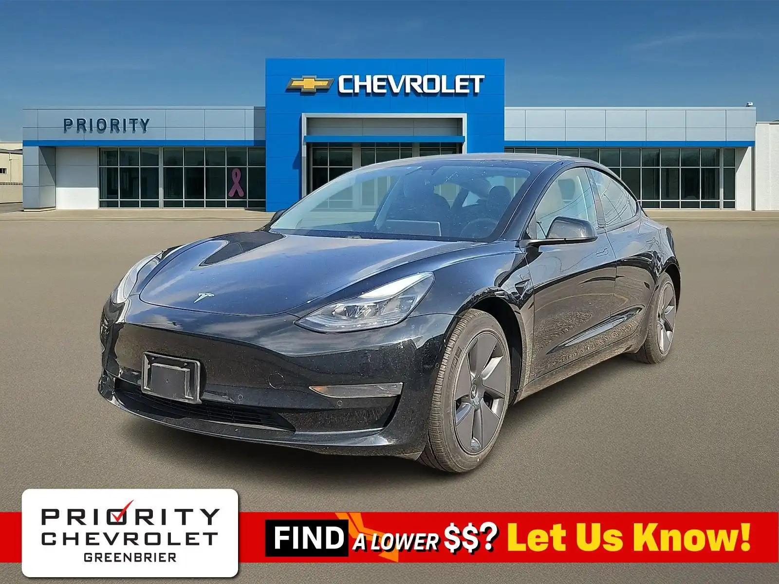 2021 Tesla Model 3 Standard Range Plus's photo