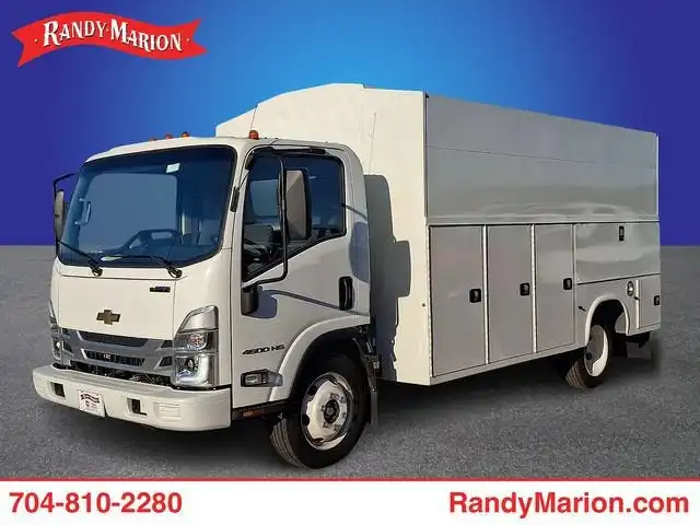 2025 Chevrolet Low Cab Forward 4500 Gas 176" WB Regular Cab's photo