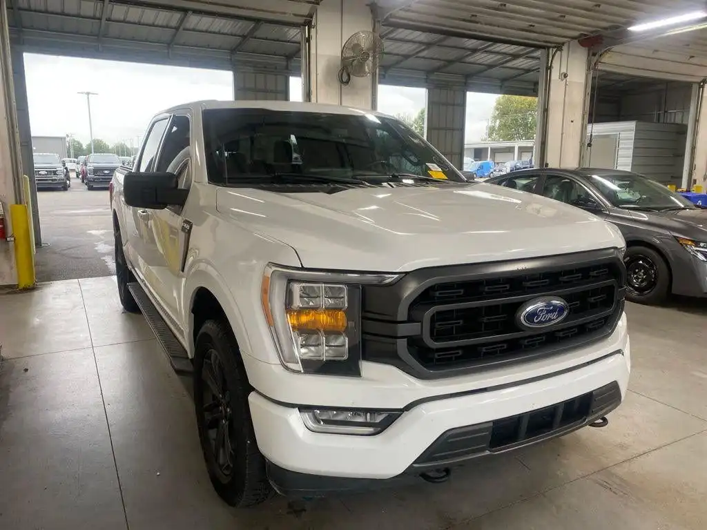 2023 Ford F-150 XLT 4WD SuperCrew 5-1/2' Box's photo