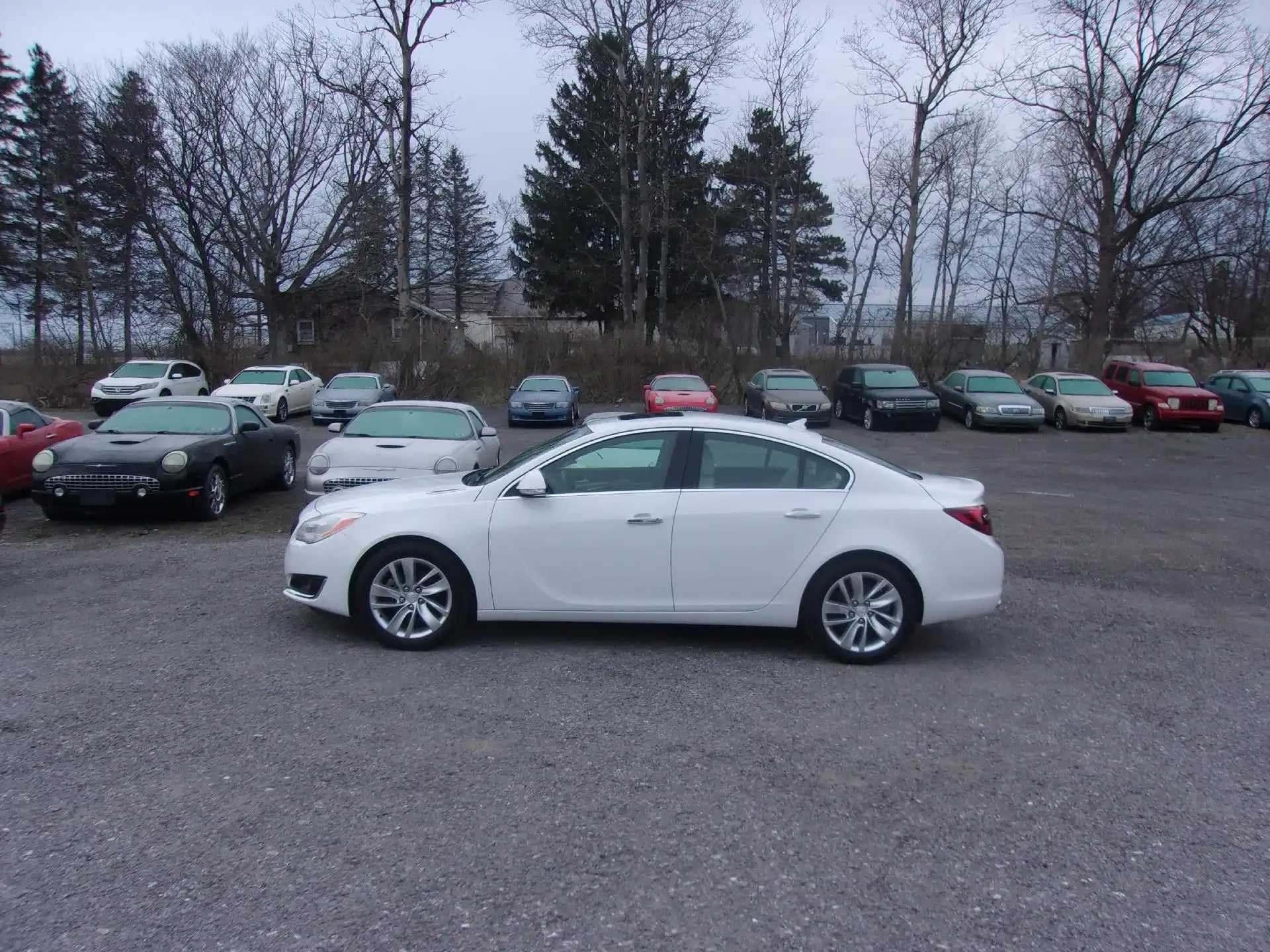 2014 Buick Regal Premium 1 Turbo's photo