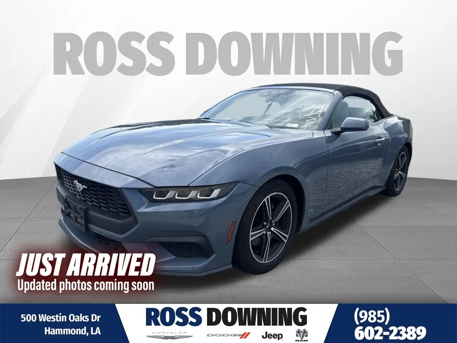2024 Ford Mustang EcoBoost Premium Convertible's photo