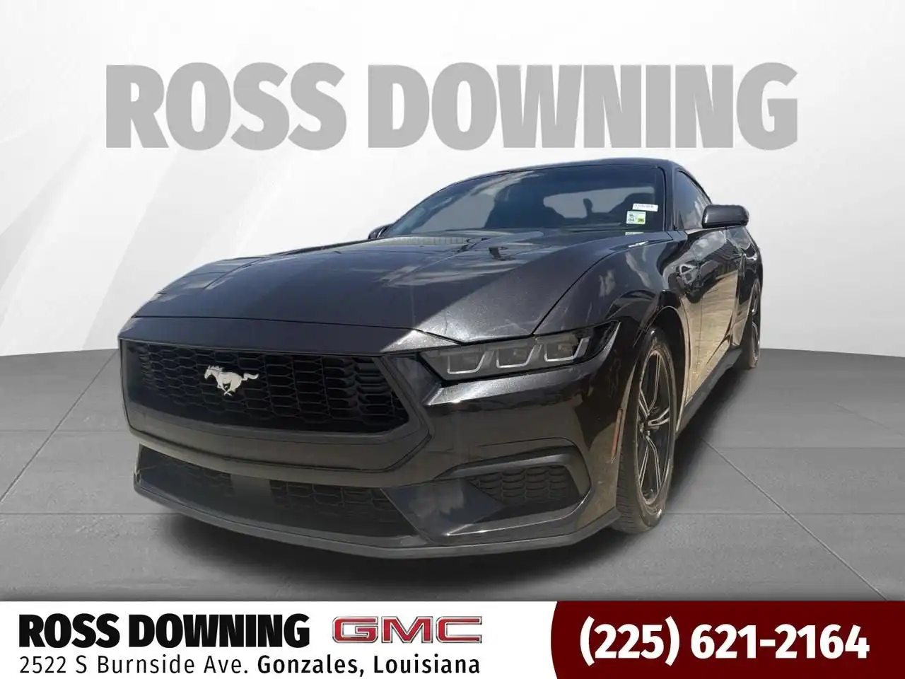 2024 Ford Mustang EcoBoost Fastback's photo