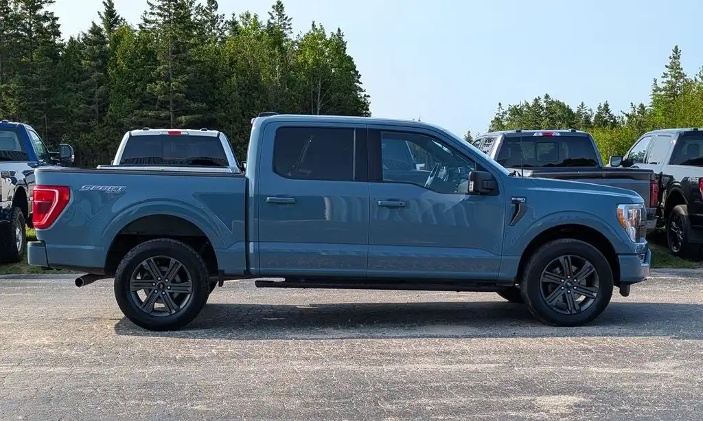 2023 Ford F-150 XLT 4x4 SuperCrew 5-1/2 Box's photo