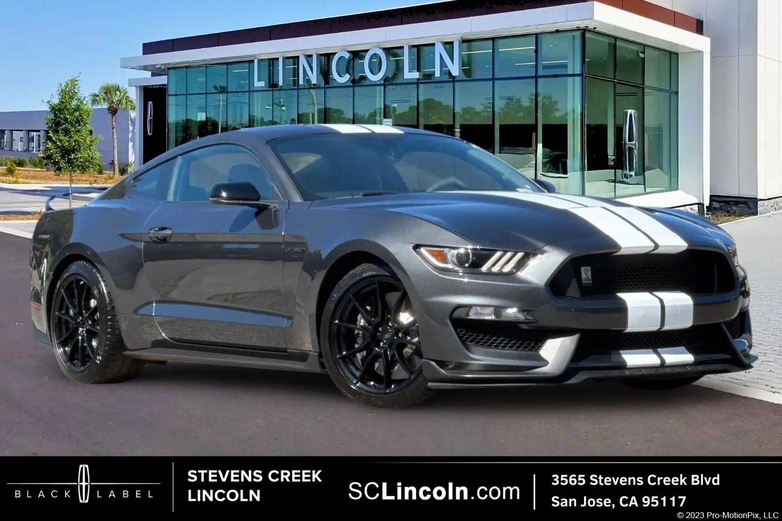 2020 Ford Mustang Shelby GT350's photo