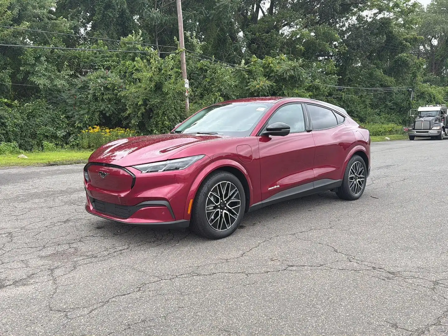 2025 Ford Mustang-Mach-e Premium's photo
