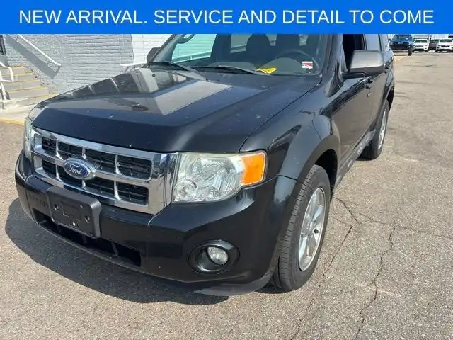 2011 Ford Escape XLT's photo