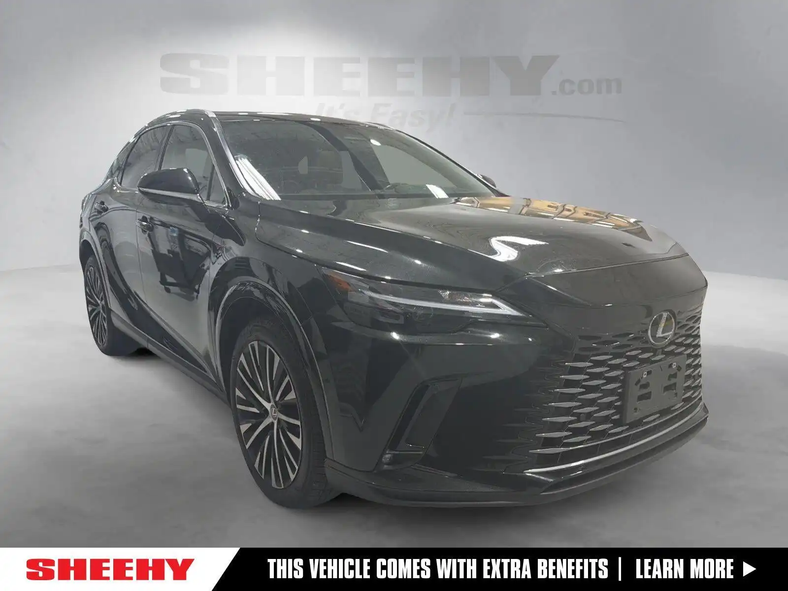 2024 Lexus RX 350 350 Premium Plus AWD's photo