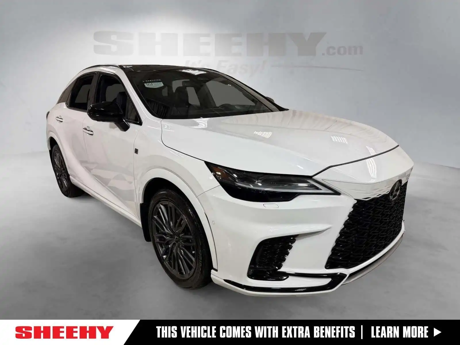 2023 Lexus RX 350h 500h F SPORT AWD's photo