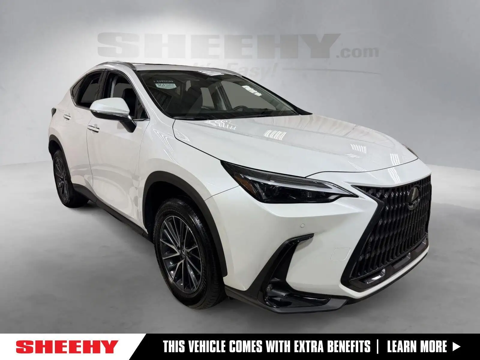 2025 Lexus NX 350 350 Premium AWD's photo