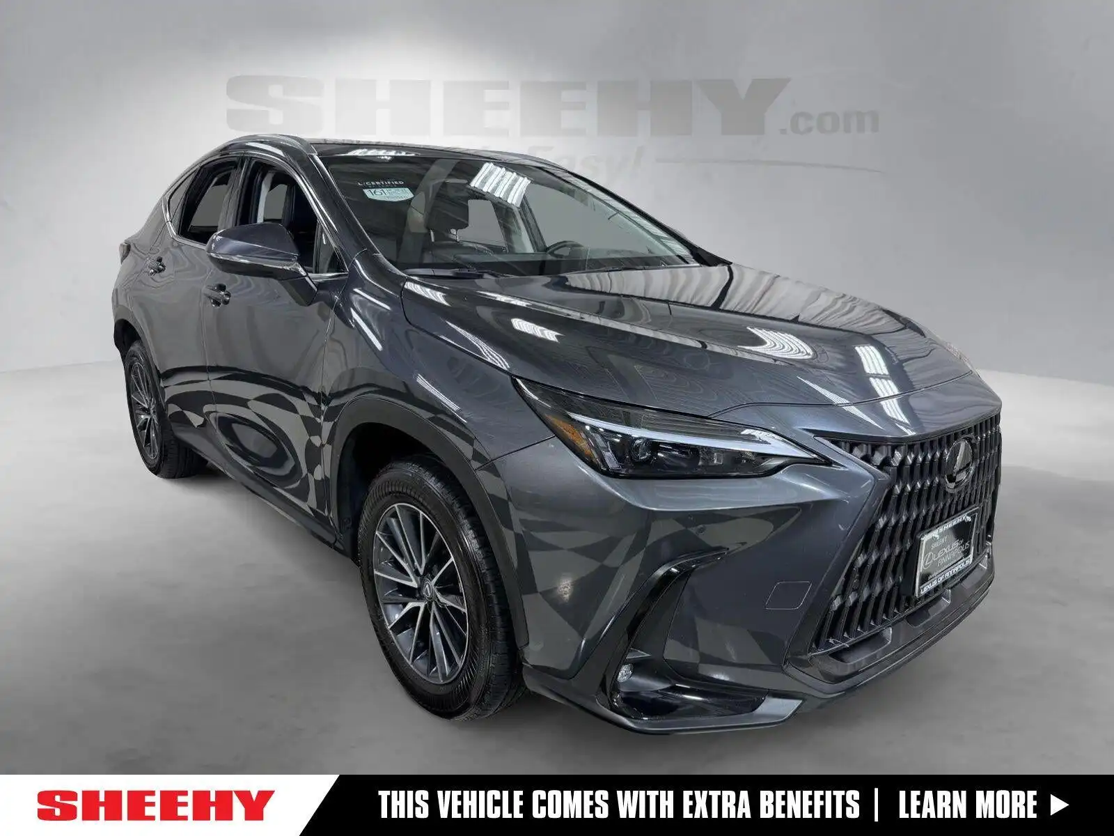 2025 Lexus NX 350 350 Premium AWD's photo