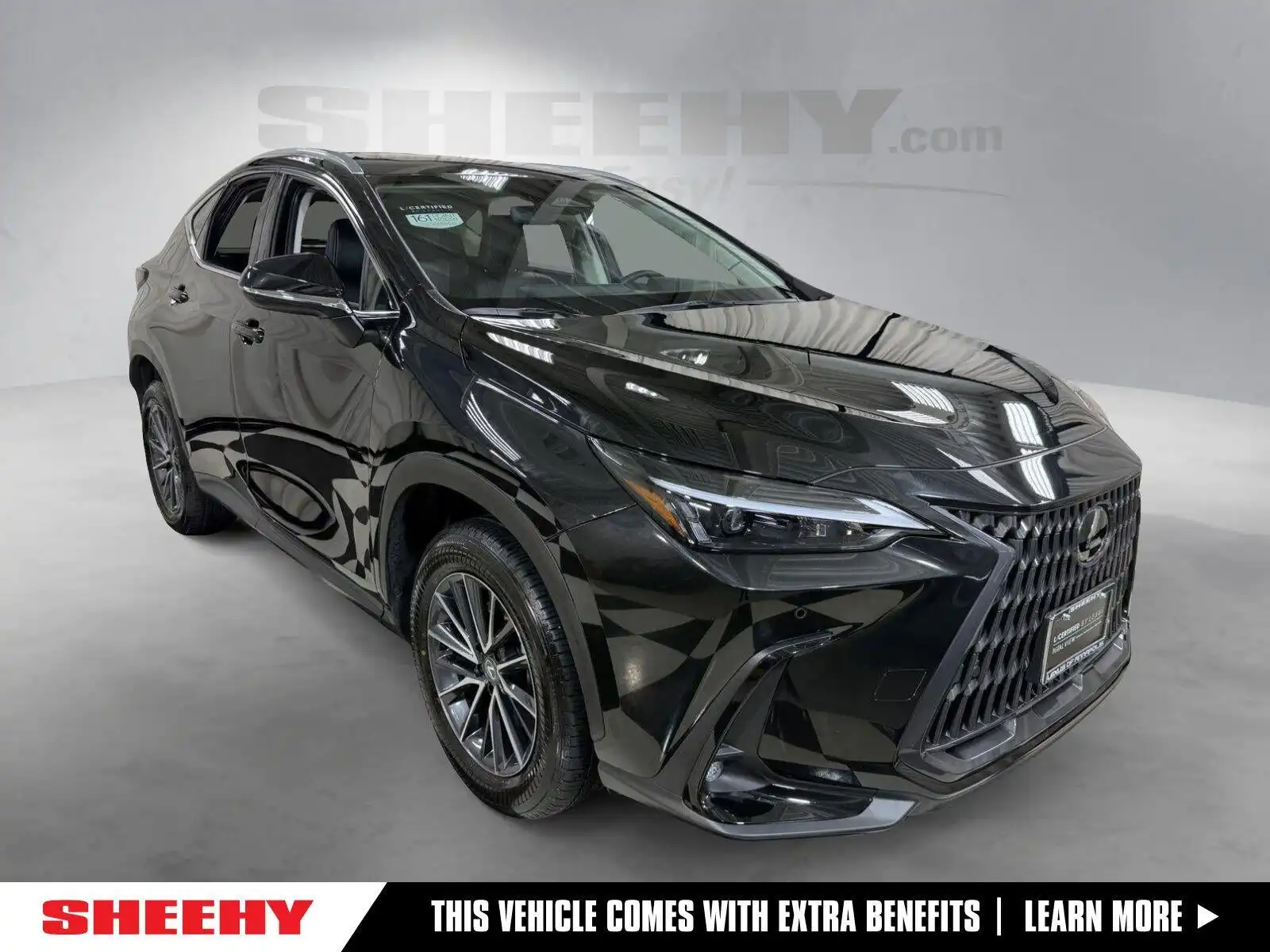 2025 Lexus NX 350 350 Premium AWD's photo