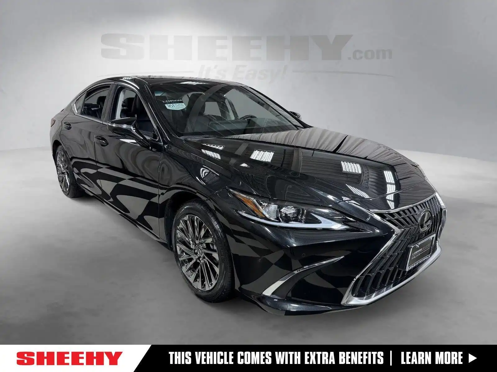 2024 Lexus ES 300h 300h Luxury's photo