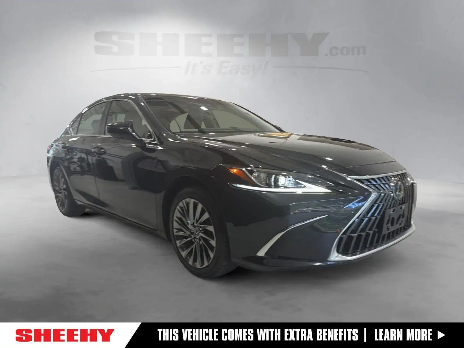 2024 Lexus ES 300h 300h Luxury's photo