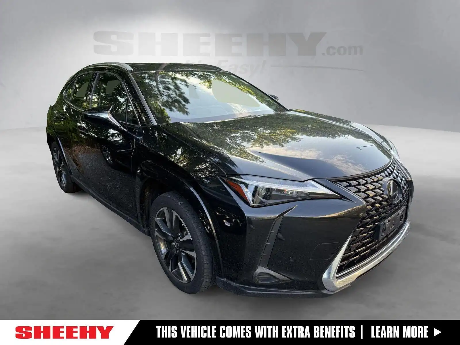2023 Lexus UX 300h 250h Premium AWD's photo