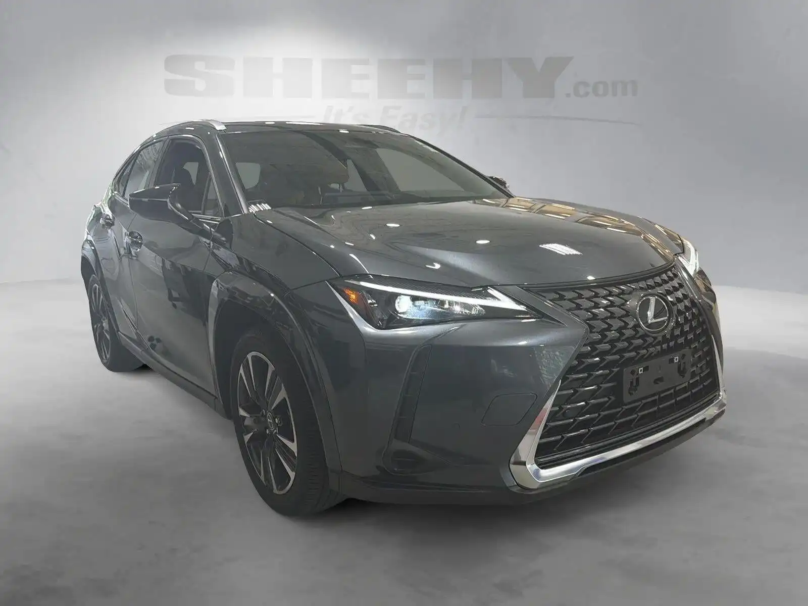 2025 Lexus UX 300h 300h Premium AWD's photo
