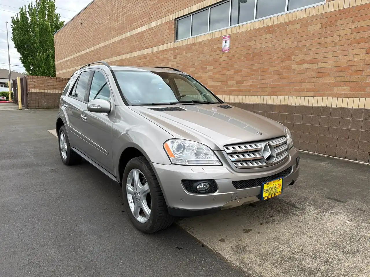 2008 Mercedes-Benz M-Class ML320 CDI's photo