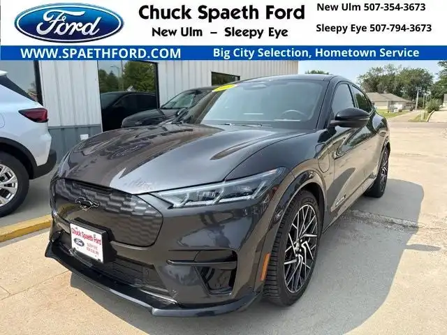 2022 Ford Mustang-Mach-e GT's photo