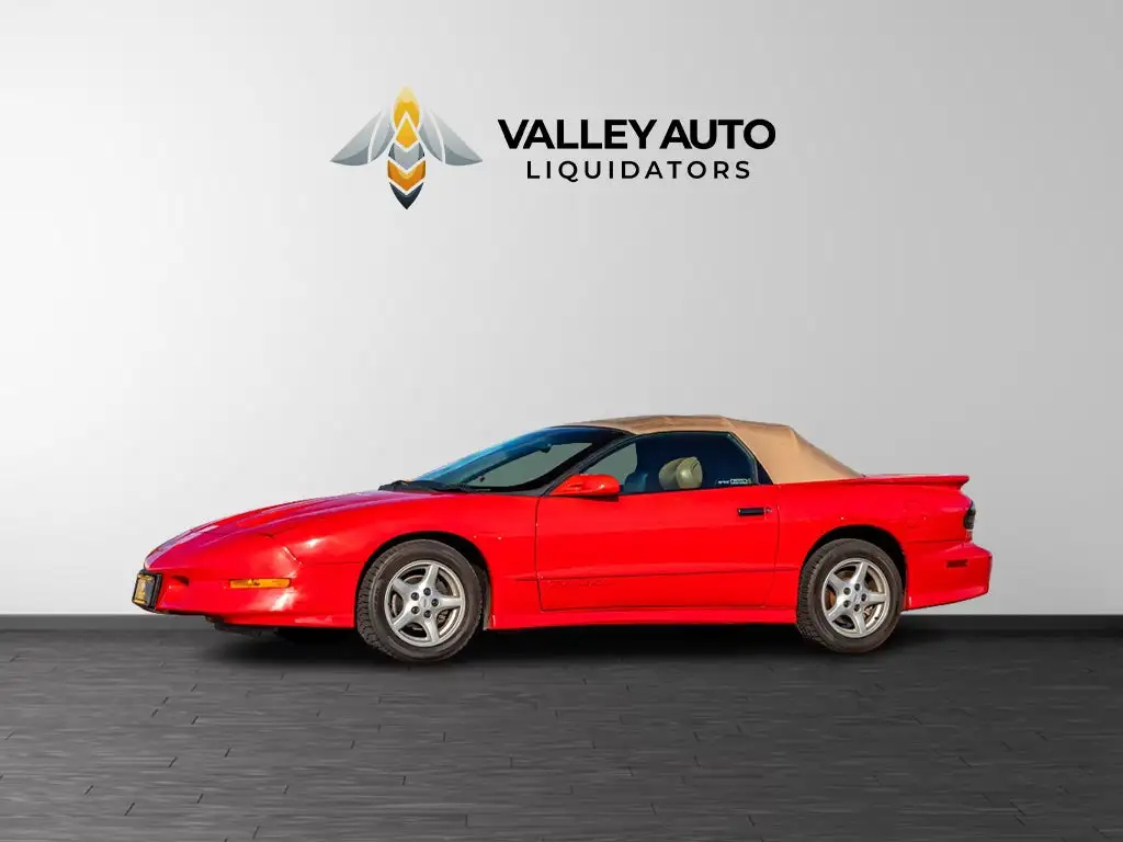 1995 Pontiac Firebird's photo