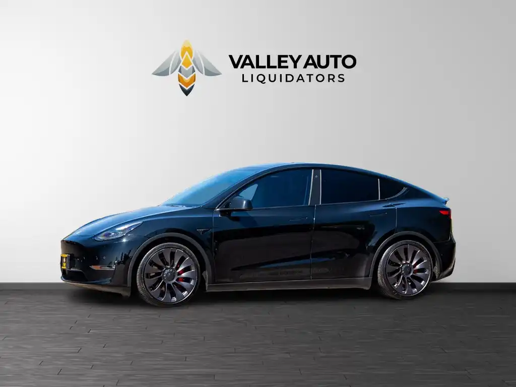 2021 Tesla Model Y Performance Dual Motor All-Wheel Drive's photo