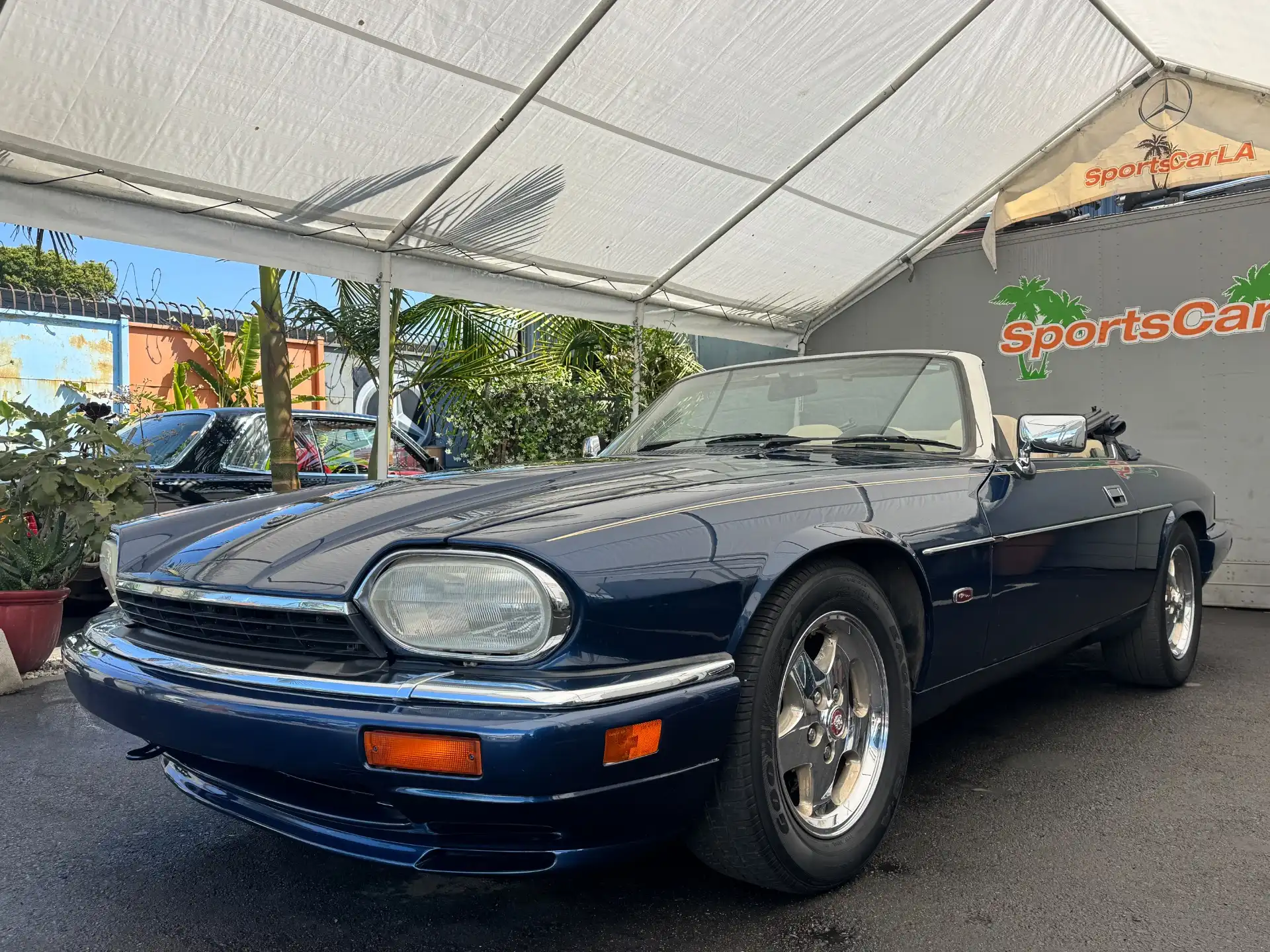 1995 Jaguar XJS's photo