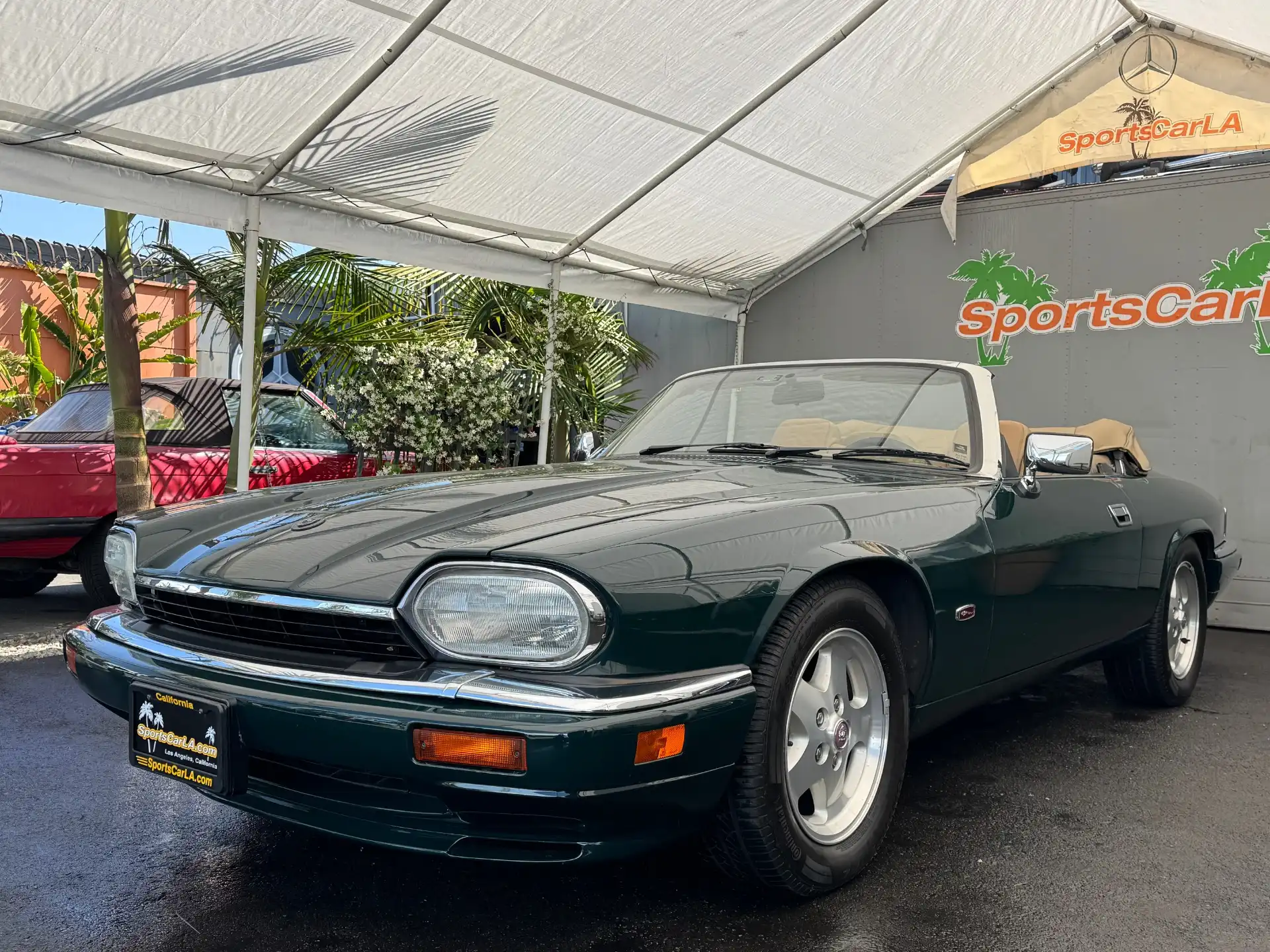 1995 Jaguar XJS's photo