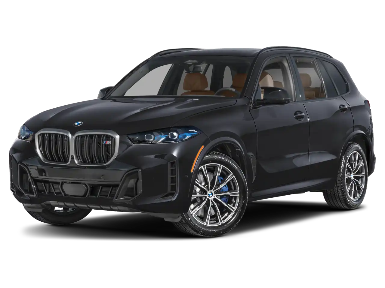 2025 BMW X5 M60i's photo
