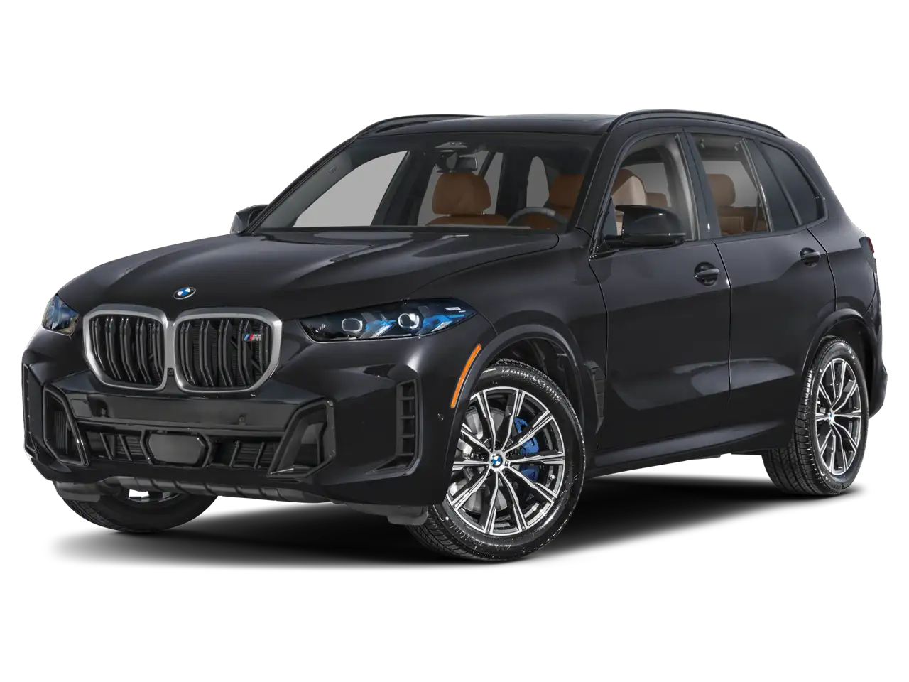 2025 BMW X5 M60i's photo