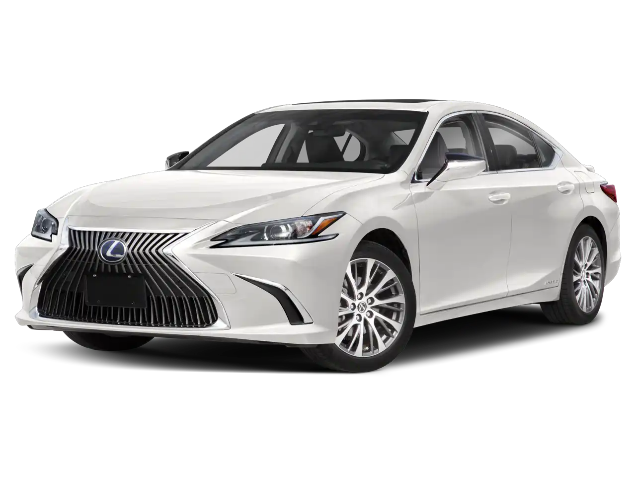 2019 Lexus ES 300h 300h's photo