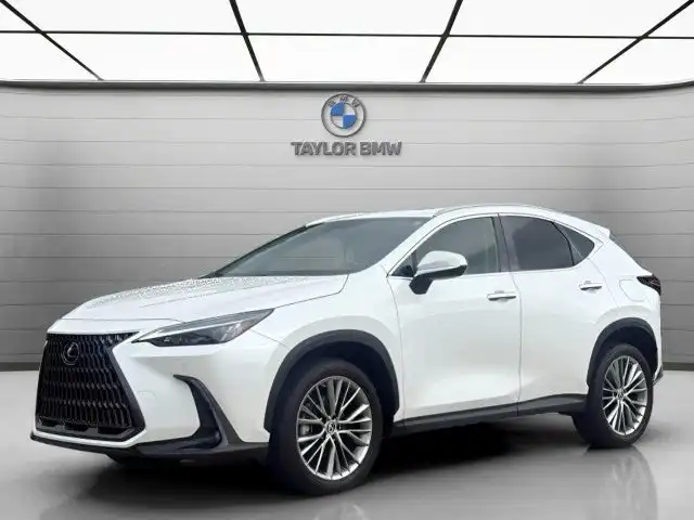 2023 Lexus NX 350h 350h Premium AWD's photo